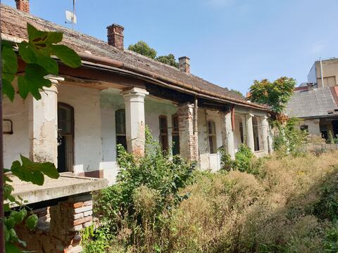 Fațada veche dinspre curte, cu stâlpii prispei și tencuiala căzută, în spatele vegetației crescute în curte